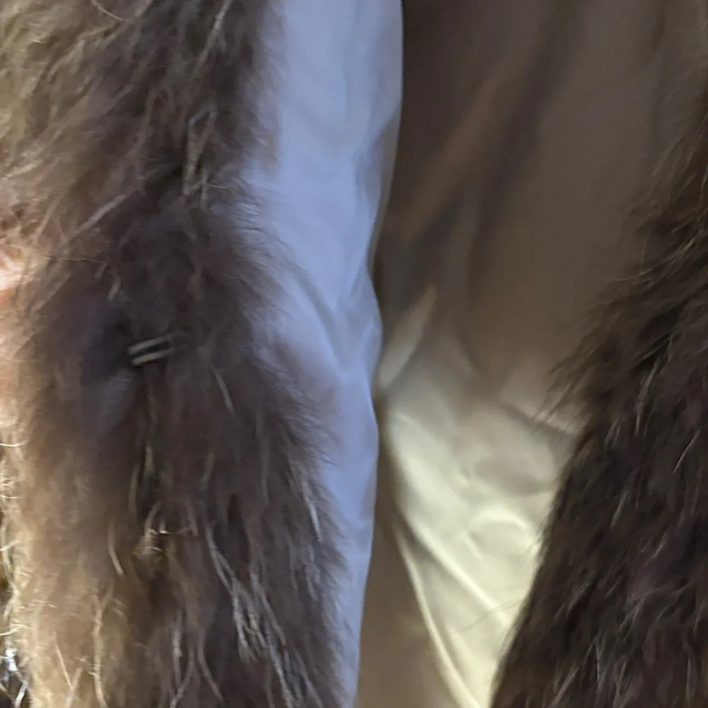 Parisian Brand Vintage Raccoon?  Fur Coat - Picture 3 of 13